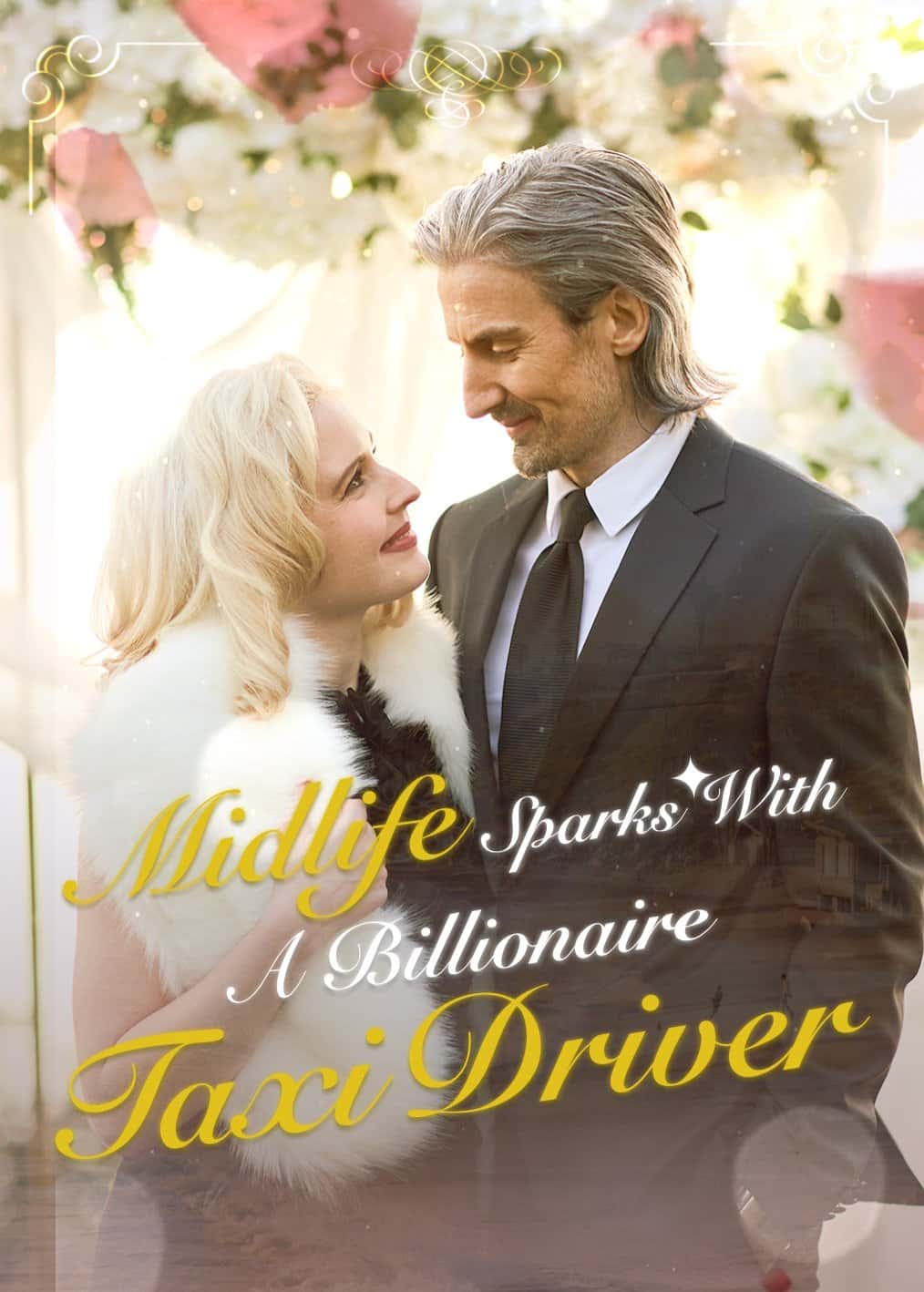 Poster of Midlife Sparks with a Billionaire Taxi Driver