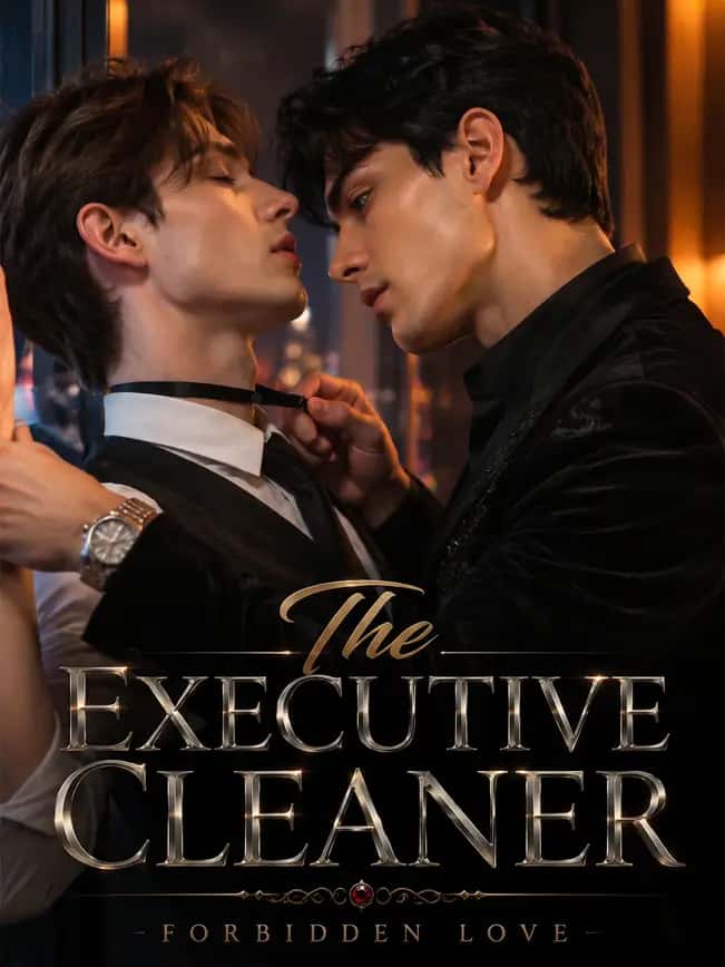 Poster of The Executive Cleaner