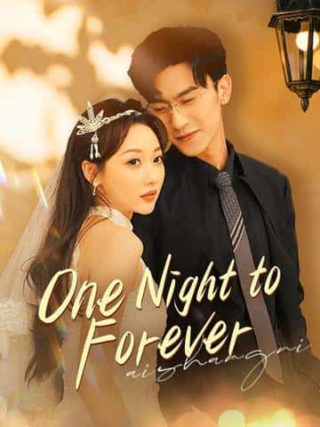 Poster of One Night to Forever