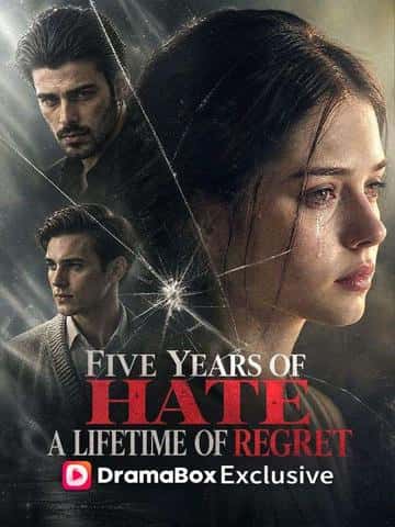 Poster of Five Years of Hate, a Lifetime of Regret