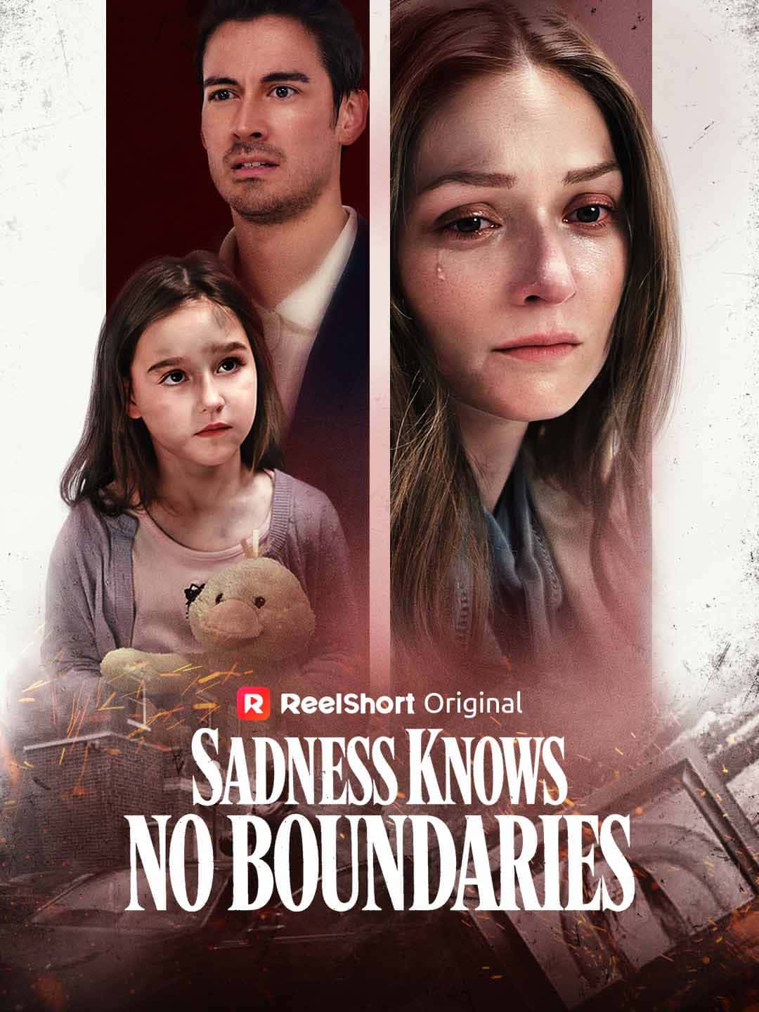 Poster of Sadness Knows No Boundaries